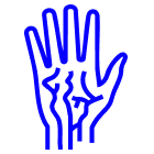 Icon 1