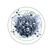Icon 1