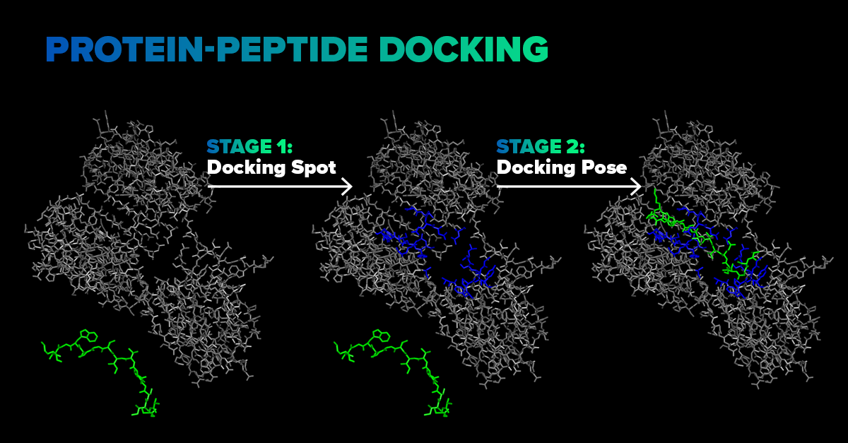 protein-peptide-docking