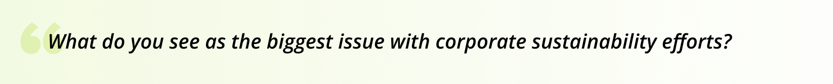 What do you see as the biggest issue with corporate sustainability efforts?