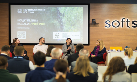 digital-platform-for-ukrainian-forest-restoration-tile