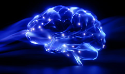 bci-meets-interactive-ai-desktop